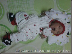 IMG00221-20101115-1222