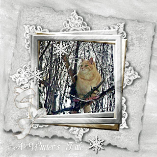 http://summerhazedesigns.blogspot.com/2009/11/winters-tale.html