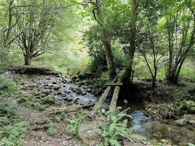 Puente madera