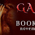 Book Blitz & Giveaway - Gauge by Cara Nelson