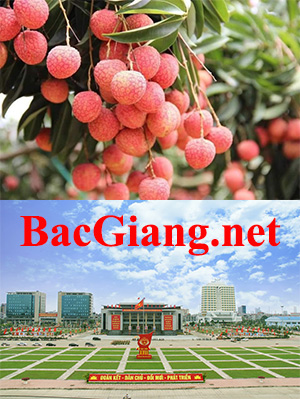 BacGiang.net