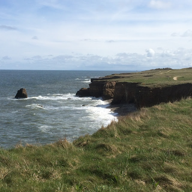 8 Favourite North East Coastal Family Walks souter & the leas