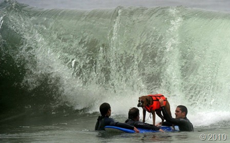 surfing-1