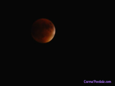 #SuperBloodMoon eclipse