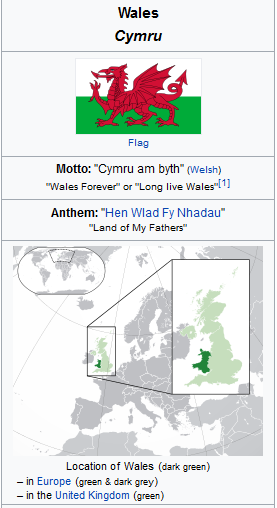 Well Done Wales in Welsh