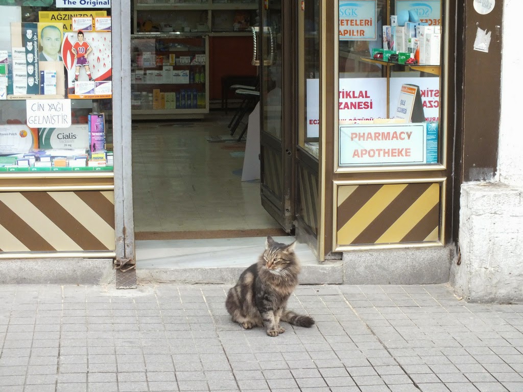 I need an aspirin for my wife because she has a headache... / Bizimkinin gene biraz başı tuttu da eczaneden aspirin almaya geldim...