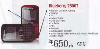 CSL Blueberry 2800T