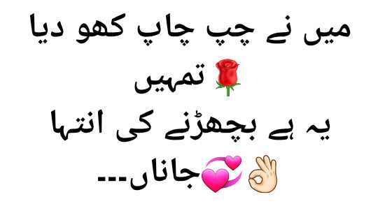 Best Urdu Poetry Captions For Instagram 2020