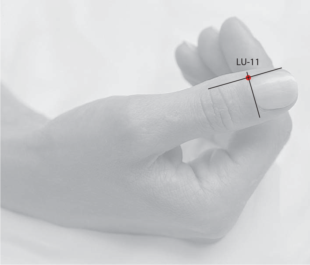 LU11 - Lesser Shang SHAOSHANG -  The Lung Channel System – Hand-taiyin (shou tai yin jing luo) - Acupuncture Point Location