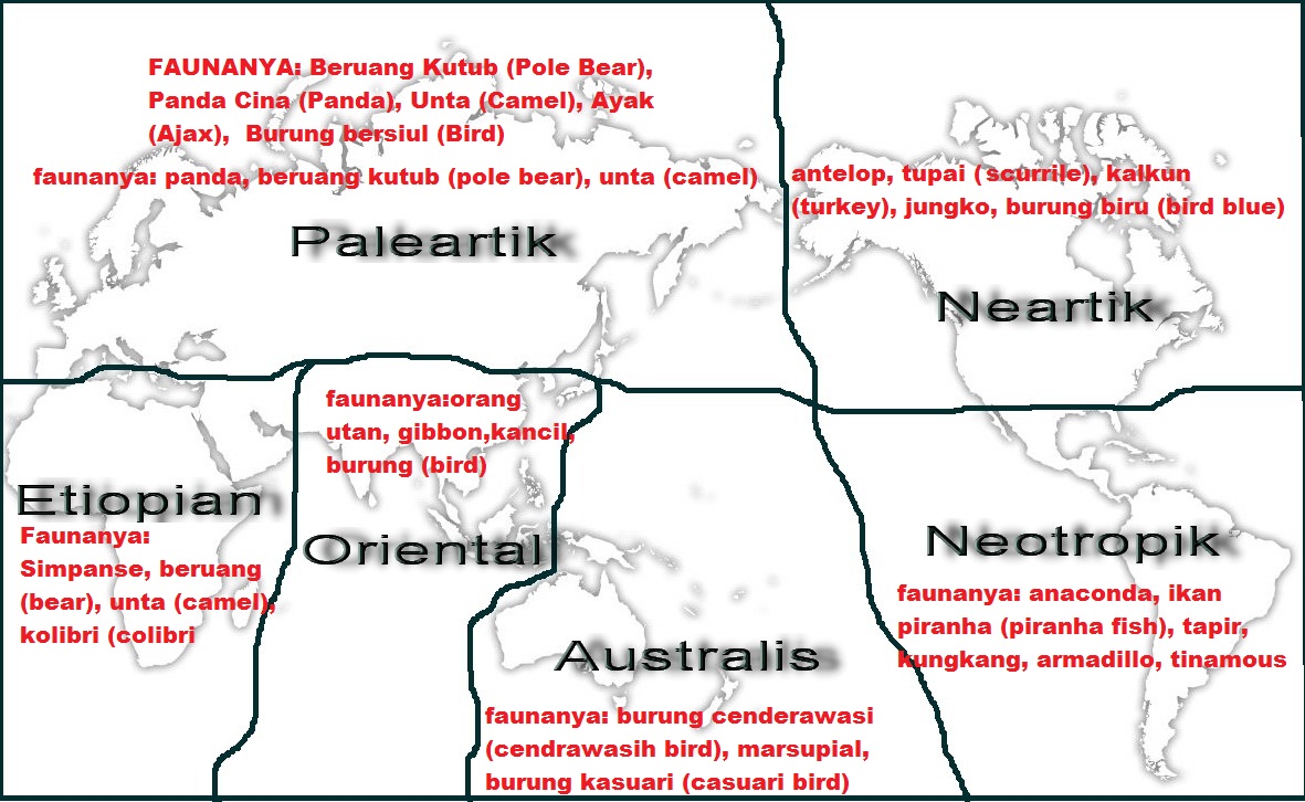  Penyebaran  Fauna  Dunia  Menurut Wallacea Geograph88