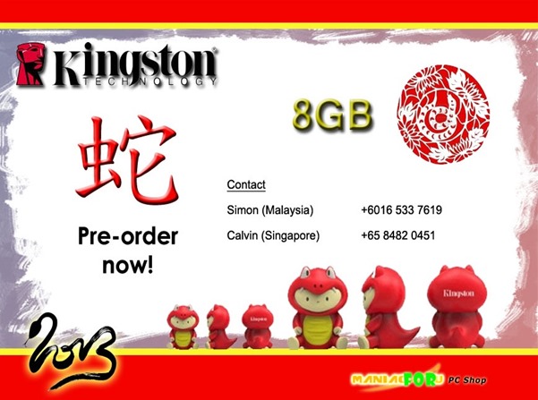 Kingston Limited Edition Pendrive 2013 (Snake)