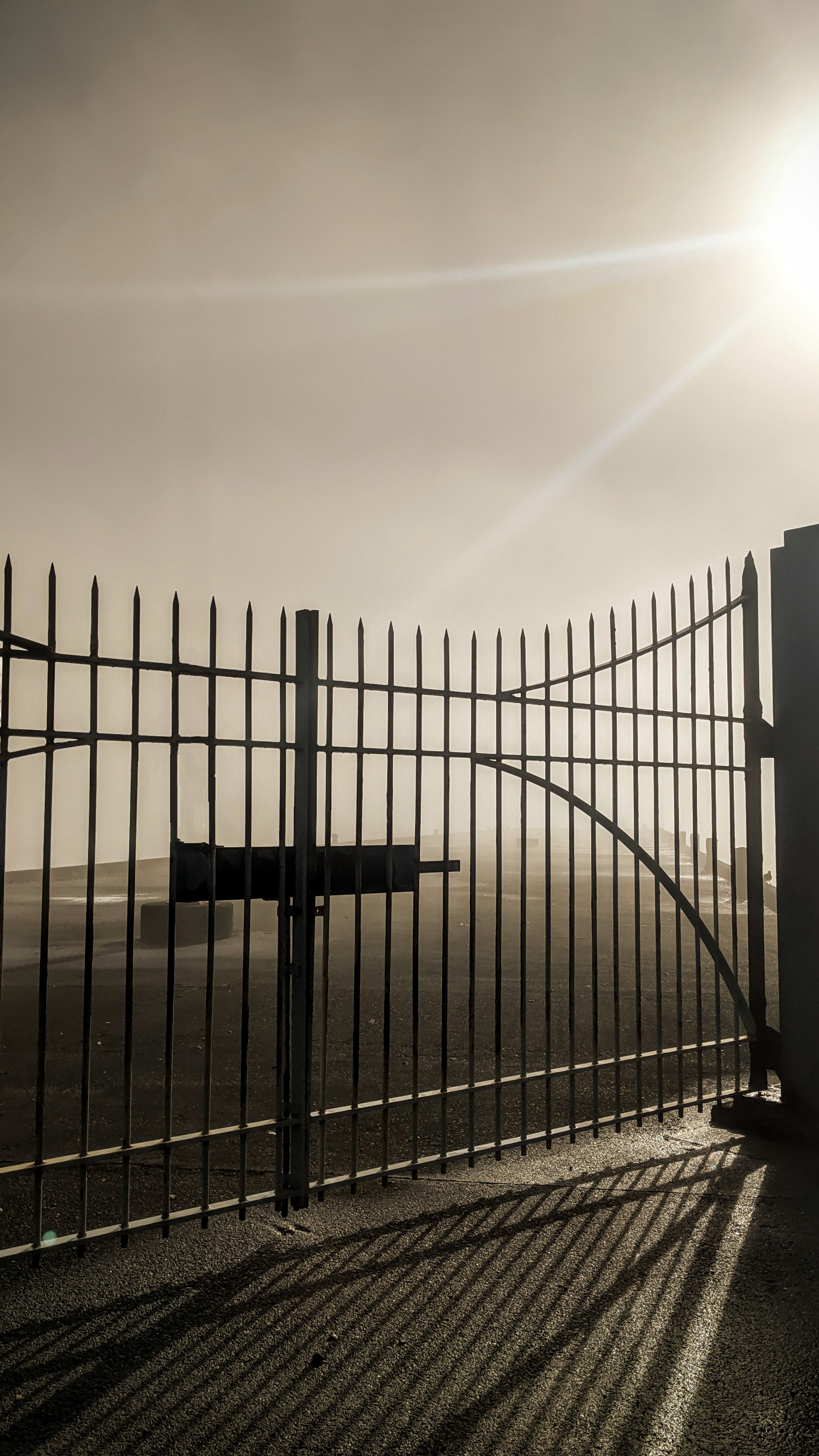 Miramar Wharf gates as the sun breaks through the fog