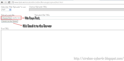 http://cirebon-cyber4rt.blogspot.com/2012/08/deface-dengan-teknik-remote-file-upload.html