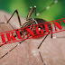 Mosquito amenaza desatar una epidemia incontrolable en Centroamérica | Nicaragua.