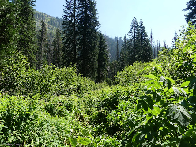 045: alder canyon and lots of green between