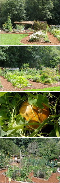 anna smith children park WSU learning garden 