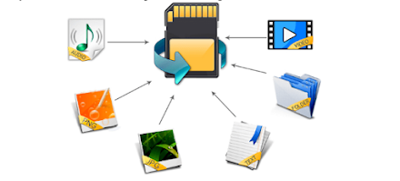 What Is the Best Software for File Recovery? 