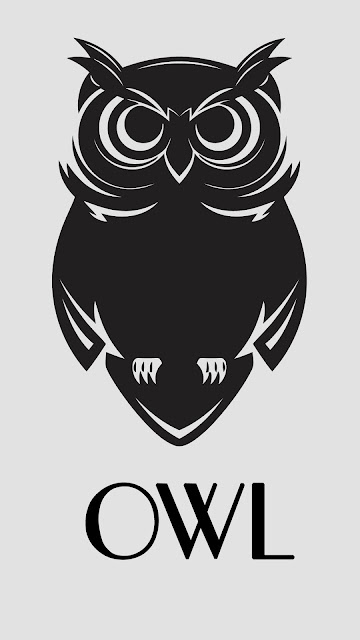 Owl Cartoon Wallpaper Iphone