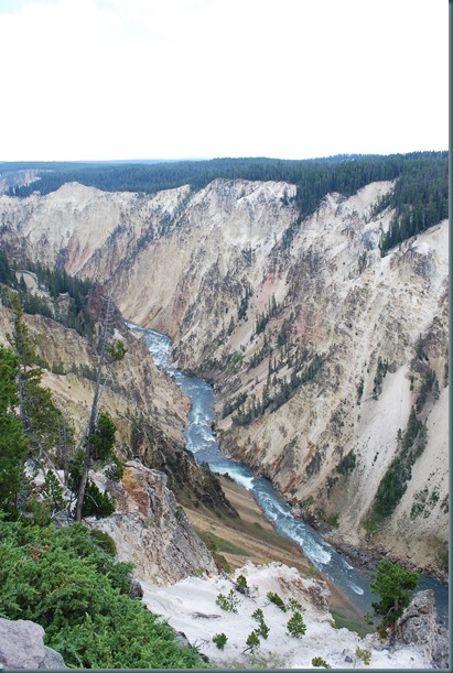Yellowstone 001