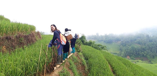 Why is trekking in Sapa the best?