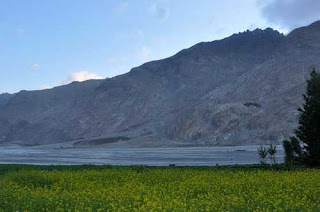  travel agents in ladakh