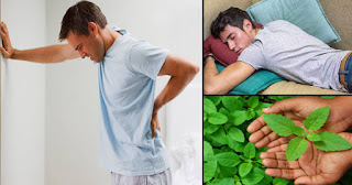 back-pain-home-remedies-07.04.20-1