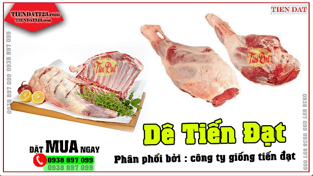 Thịt dê từng nào chi phí 1kg?mua ở đâu chuẩn?