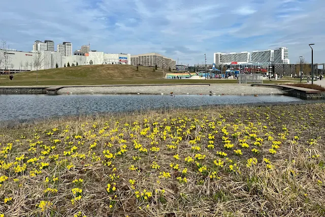 парк Ходынское Поле, пруд