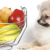 Can Dogs Eat Fruits? Here are 7 fruits that your dog can eat