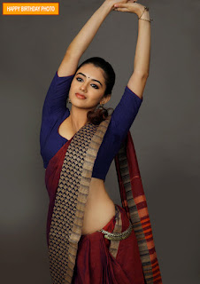 sexy saree