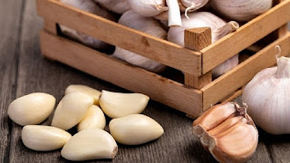 people use garlic for the treatment of bronchitis