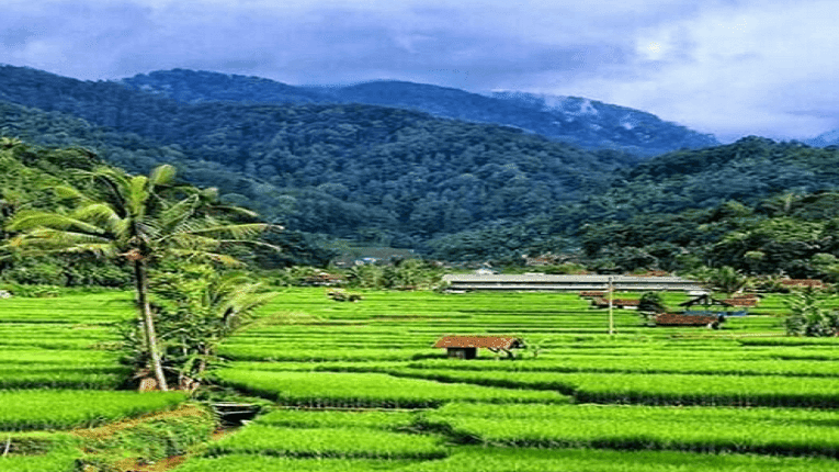 Puisi Menanti Hujan