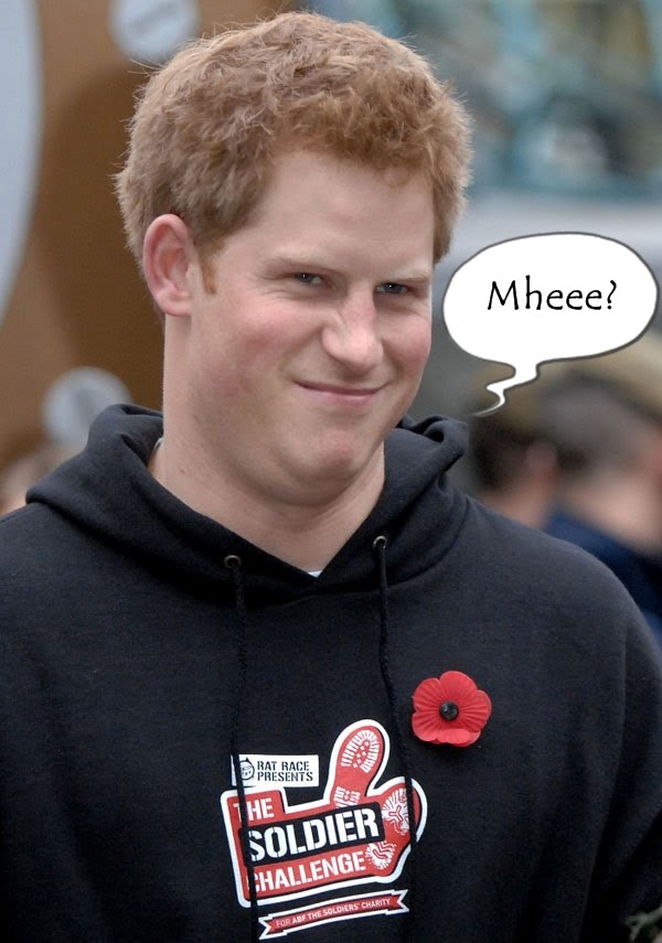 prince harry underwear. Prince Harry flashes pink