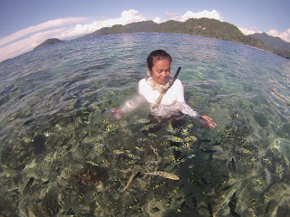 PULAU PAGANG SUMATERABARAT