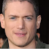 Wentworth Miller: Prison Break star Wentworth Miller dey out for gay role