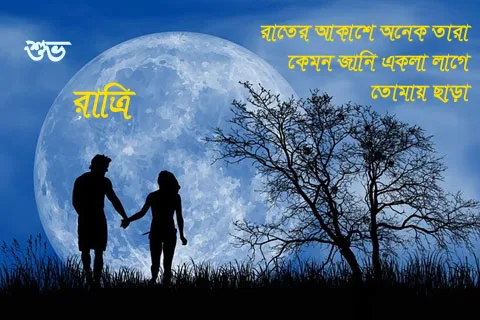 Good Night Image In Bengali