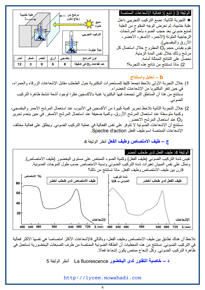 انتاج المادة العضوية و تدفق الطاقة 4