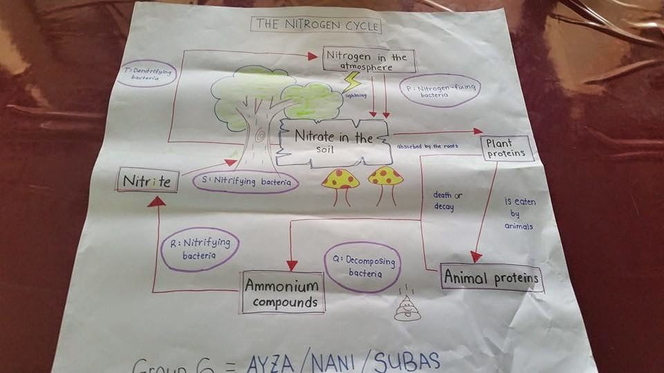 Contoh Soalan Kuiz Sains Dan Matematik - Terengganu q