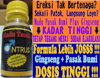 Madu Obat Kuat Pria Ereksi SuperTonik di Banda Aceh Jual Online Shop