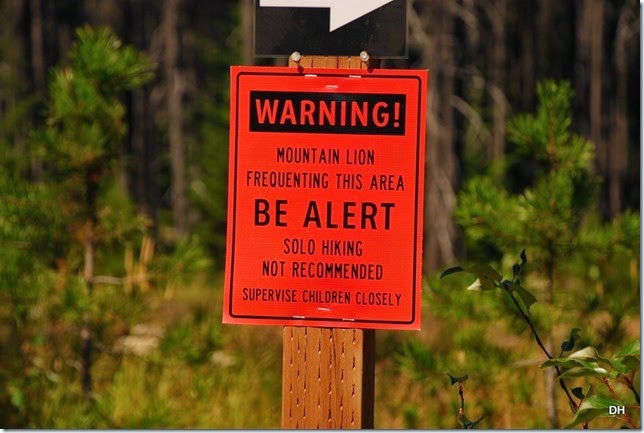 08-25-14 C Apgar Area (37)