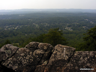 View from Buzzard's Roost