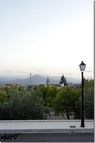 _MG_4371 bg