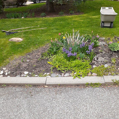 New Toronto pollinator garden installation before by Paul Jung Gardening Services--a Toronto organic gardening company