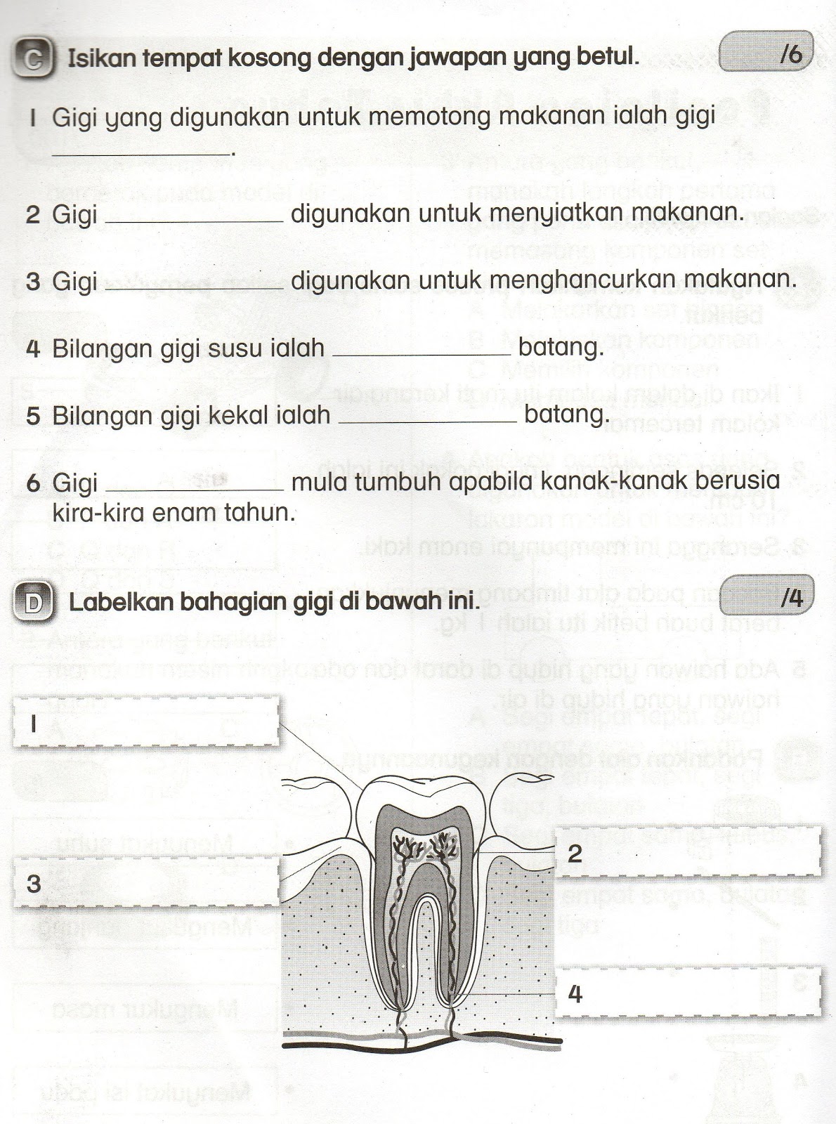 DUNIA SAINS DAN TEKNOLOGI: SOALAN SUBJEKTIF