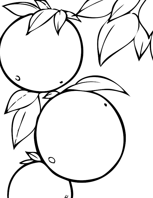 Kids Coloring Pages Seasonal Fruits title=