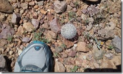 20160412_115317