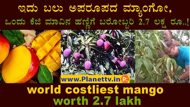 world's most expensive mango