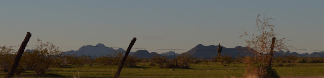 hassayampa drainage, small sunny garden, sonoran desert