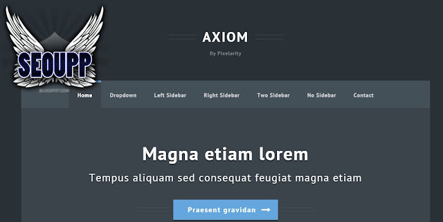 قالب بريميوم للمواقع: Axiom واجهة موقع انيقة ورائعة 2015 