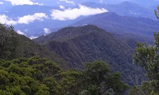 Bukit raya kalimantan